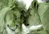 Vlies Fototapete - Lion Tenderness (Green) 100x70 cm Tiere Produktbild-Vorschau 5