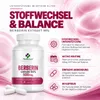MedFuture, extrait de berbérine, 500 mg, 60 capsules Voir les images du produit 5