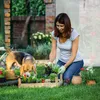 Relaxdays Tomatengewächshaus TAMARA XL, rundes Dach, groß, Produktbild-Vorschau 3
