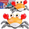 Lolex | Krabben Spielzeug - 23 × 12,5 × 10,5 Cm - Produktbild-Vorschau 1