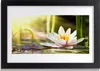Bild 30x20 MDF-Rahmen Wandkunst Flower Water Lily Produktbild-Vorschau 1