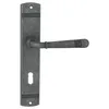 A gray metal door handle with a keyhole on a white background. Produktbild-Vorschau