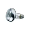 Zoomed Repti Basking Spot Lamp 60W - Ampoule chauffante 2 Voir les images du produit 2