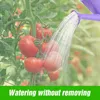 Tomatoes being watered by a purple watering can. Produktbild-Vorschau
