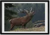 Bild - Bilderrahmen - 100 cm x 70 cm - MDF - Rahmen - Foto Produktbild-Vorschau 1