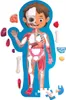 Hape|Toynamics Hape Puzzle Mein Körper Produktbild-Vorschau 2