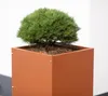 Herstera Metall plantenbak, bloempot "Cube", rechthoekig, Productafbeelding-voorbeeld 3