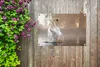 Gartenposter - 60x40 cm - Schwan im nebligen See  - Produktbild-Vorschau 6