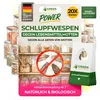 Schlupfwespen gegen Lebensmittelmotten, 20 Karten x 1 Produktbild-Vorschau 1