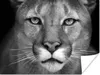 MuchoWow® Poster Panther - Wildlife - Schwarz - Weiß 120x90 Produktbild-Vorschau 1