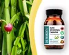 DR WAKDE'S Asthi Shrinkhala Capsule (Cissus Anteprima dell’immagine prodotto 4