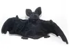 A black plush bat toy is displayed against a white background. Voir les images du produit