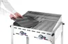 Hendi Gas Green Fire 2 Brenner, 11600 W, Grilování, Náhled obrázku produktu 3
