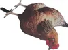 Paletto per galline, simulazione 3D, acrilico, stabile, Anteprima dell’immagine prodotto 2
