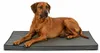 lionto Hundematte orthopädisch, druckentlastende Produktbild-Vorschau 1