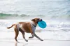 Waboba Woof Pack Hundespielzeug Set Wurfscheibe Sprungball Produktbild-Vorschau 8