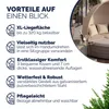 Casaria Isola Prendisole Ø185cm Salottino Polyrattan Anteprima dell’immagine prodotto 8