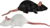 Dehnbare Ratte als Spielzeug 11 cm | Schwarz / Weiß Produktbild-Vorschau 1
