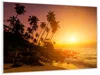 Wallario Wandbild Kokospalmen am Abend - Sonnenuntergang in Produktbild-Vorschau 2