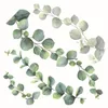 Samolepka na zeď eukalyptus 54120 M 31x31 cm Náhled obrázku produktu 3