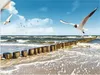 ARTland Wandbild, selbstklebend Ostsee Größe: 60x45 cm Produktbild-Vorschau 1