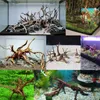 Aquarium Wurzel Red Moor XS 10-15 cm, natürliche Deko für Produktbild-Vorschau 4