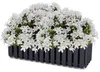 Boardee Fencycase 600 Balkonkasten | Anthrazit Produktbild-Vorschau 22