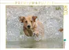 CALVENDO Puzzle Gelber Labrador Action am Wasser | 1000 Produktbild-Vorschau 2