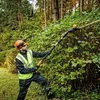 DeWALT DCMPH566N-XJ, 2,5 cm, 2800 spm, Čierna, Žltá, 55 cm, Náhľad obrázku produktu 7