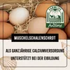 AniForte Muschelgrit für Hühner & Geflügel 5 kg - Produktbild-Vorschau 3