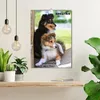 SHELTIES Herzensbrecher auf 4 Pfoten (Wandkalender 2026 DIN Produktbild-Vorschau 3