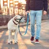 Kaganiec dla psa, oddychający kaganiec koszykowy dla Podgląd zdjęcia produktu 3