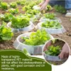 20 Stück Schneckenschutzring Set, Schneckenschutz Produktbild-Vorschau 4