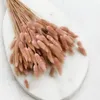 Getrocknete Hasenschwanzgras - (Lagurus) - Altrosa Produktbild-Vorschau 6