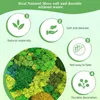 Islandmoos, Moos in 6 versch 240g für Moosbilder, Produktbild-Vorschau 4