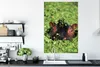 MuchoWow® Poster Nilpferd - Wasser - Pflanzen 80x120 cm - Produktbild-Vorschau 4