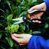 Fiskars Allzweckschere "Elegance" P45 Produktbild-Vorschau 5