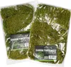 Terrario Shadow Forest Moss - muschio naturale 35x28cm Anteprima dell’immagine prodotto 15