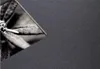 A close-up black and white image of a flower with a textured gray background. Produktbild-Vorschau