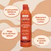 Cantu Moisturizing Curl Activator Cream und Schrift in ovalen Kreisen auf gemustertem Grund Anteprima dell’immagine prodotto