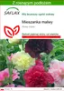 SAFLAX - Mieszanka malwy - 100 Nasiona - Z podłożem Podgląd zdjęcia produktu 1