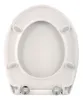 WC-Sitz Nachbildung 70er - Antibakteriell, Absenkautomatik, Produktbild-Vorschau 7