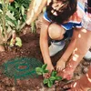 Tappetino per fragole RD49614, 15 pezzi. Anteprima dell’immagine prodotto 2