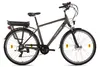 E-Citybike Herren 28'' Hollandia Zagon Grau 6 Gänge Produktbild-Vorschau 2