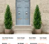 SucceBuy 48-calowe sztuczne drzewo cedrowe topiary, 2 Podgląd zdjęcia produktu 7