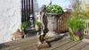 Figurine de Justitia en bronze, sculpture de 33 cm, déesse Voir les images du produit 9