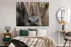 MuchoWow® Poster Schottischer Highlander - Braun - Nase Produktbild-Vorschau 4