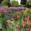 Korsch Gartenträume Kalender 2027 – Bildkalender mit viel Produktbild-Vorschau 13
