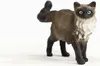 Schleich Farm World 13940 Gatto Ragdoll Anteprima dell’immagine prodotto 2