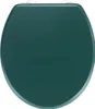 A top-down view of a dark green toilet seat. Náhled obrázku produktu